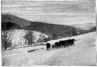 Cattle At The Spring Under The Hill